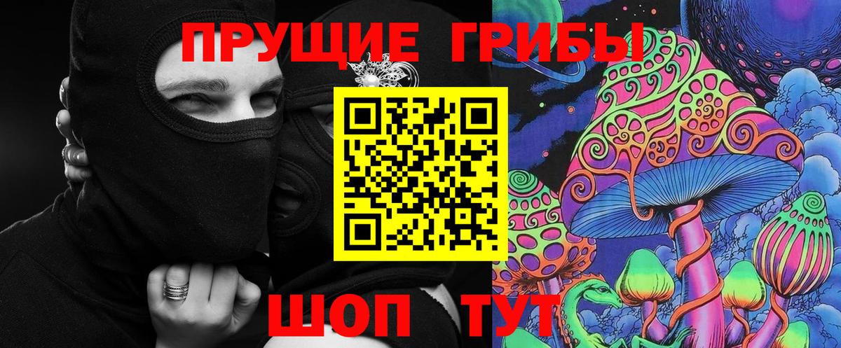 Псилоцибиновые грибы Psilocybe Ялуторовск