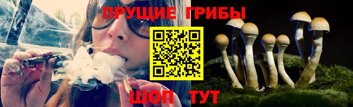 купить наркотик  Вход с VPN  Ялуторовск  Галлюциногенные грибы Cubensis 