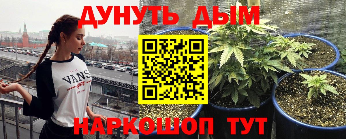 Бошки марихуана Amnesia Ялуторовск